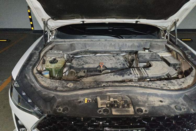 Used Haval F7x 2019 1.5T Two-Wheel Drive Intelligent Technology Edition Engine Bay Right
