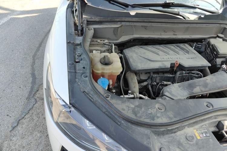Used Haval F7x 2019 1.5T Two-Wheel Drive Smart & Trendy Edition Engine Bay Right