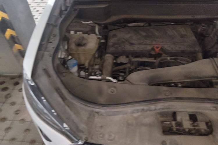 Used Haval F7x 2019 1.5T Two-Wheel Drive Intelligent Technology Edition Engine Bay Right