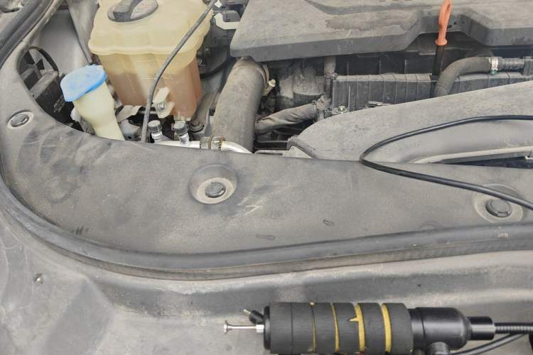 Used Haval F7x 2019 1.5T Two-Wheel Drive Smart & Trendy Edition Engine Bay Right
