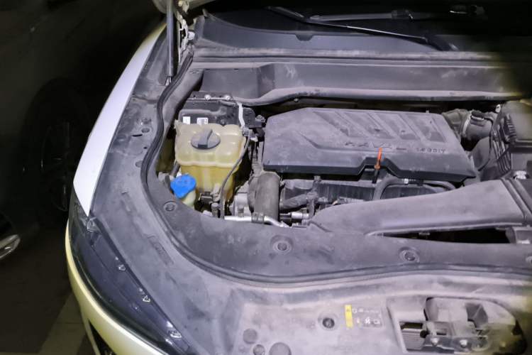 Used Haval F7x 2019 1.5T Two-Wheel Drive Smart & Trendy Edition Engine Bay Right