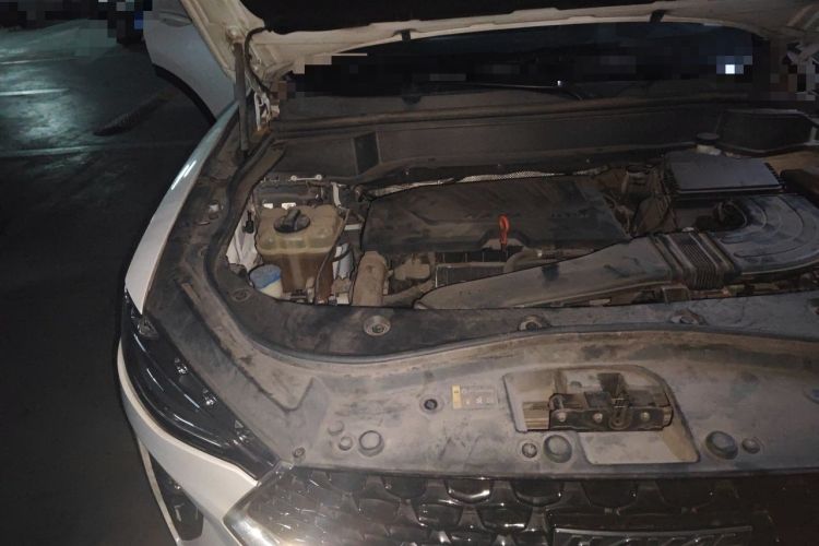 Used Haval F7x 2019 1.5T Two-Wheel Drive Intelligent Technology Edition Engine Bay Right