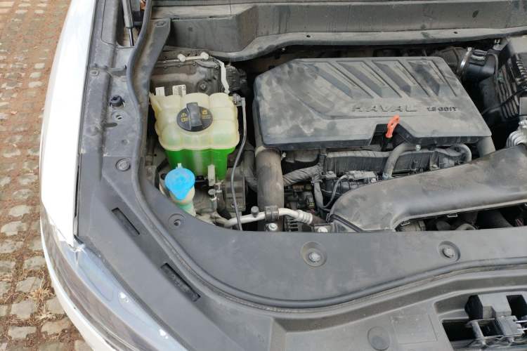 Used Haval F7x 2019 1.5T Two-Wheel Drive Smart & Trendy Edition Engine Bay Right