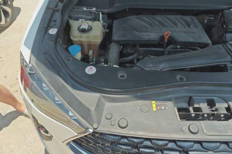 Used Haval F7x 2019 1.5T Two-Wheel Drive Smart & Trendy Edition Engine Bay Right