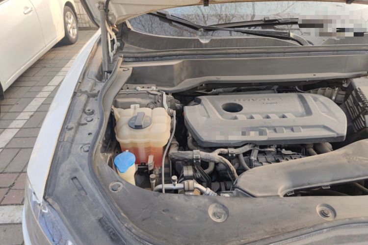Used Haval F7x 2019 2.0T Two-Wheel Drive Intelligent Technology Edition Engine Bay Right