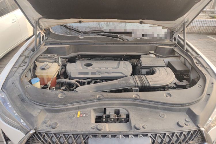 Used Haval F7x 2019 2.0T Two-Wheel Drive Intelligent Technology Edition Engine Bay