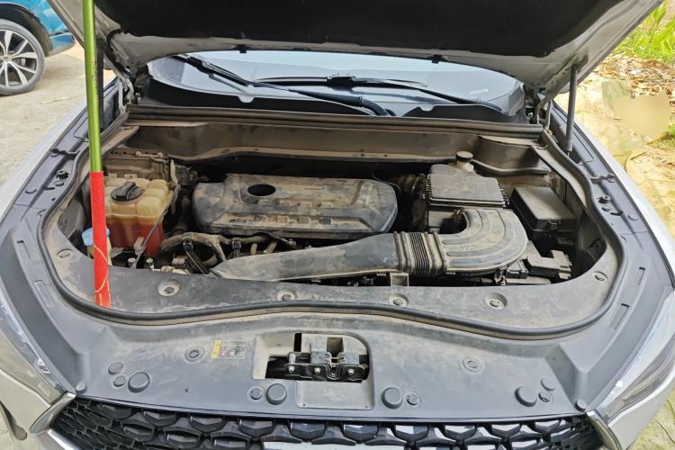 Used Haval F7x 2019 2.0T Two-Wheel Drive Intelligent Technology Edition Engine Bay