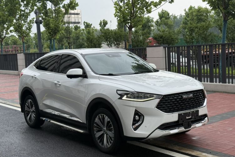 Used Haval F7x 2019 2.0T Two-Wheel Drive Intelligent Technology Edition Exterior 10