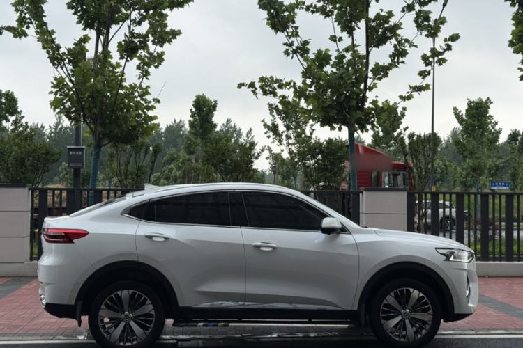 Used Haval F7x 2019 2.0T Two-Wheel Drive Intelligent Technology Edition Exterior 12