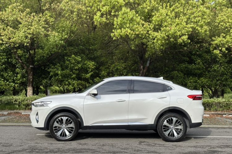 Used Haval F7x 2019 1.5T Two-Wheel Drive Intelligent Technology Edition Exterior 4
