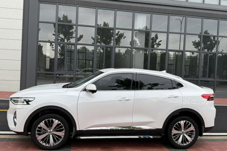 Used Haval F7x 2019 2.0T Two-Wheel Drive Intelligent Technology Edition Exterior 4