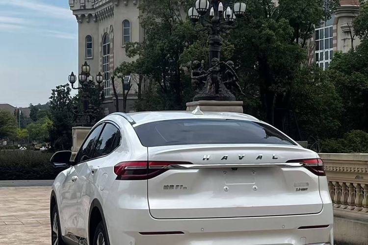 Used Haval F7x 2019 2.0T Two-Wheel Drive Intelligent Technology Edition Exterior 4
