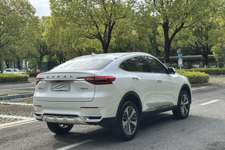 Used Haval F7x 2019 1.5T Two-Wheel Drive Intelligent Technology Edition Exterior 6