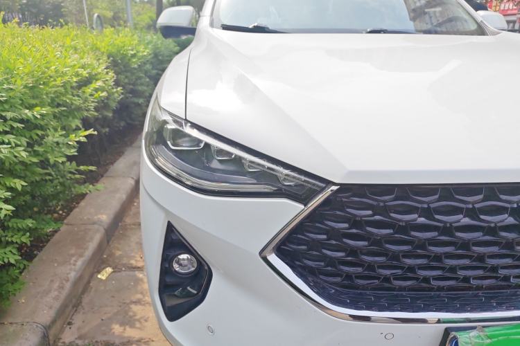 Used Haval F7x 2019 2.0T Two-Wheel Drive Intelligent Technology Edition Exterior 6