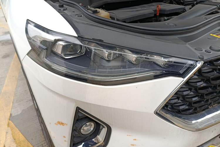 Used Haval F7x 2019 1.5T Two-Wheel Drive Intelligent Technology Edition Exterior 6