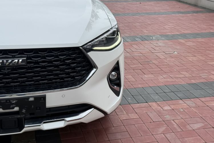 Used Haval F7x 2019 2.0T Two-Wheel Drive Intelligent Technology Edition Exterior 8