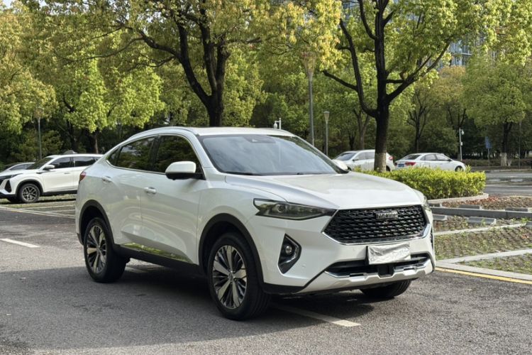Used Haval F7x 2019 1.5T Two-Wheel Drive Intelligent Technology Edition Exterior 9