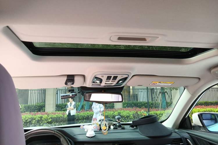 Used Haval F7x 2019 2.0T Two-Wheel Drive Intelligent Technology Edition Headliner