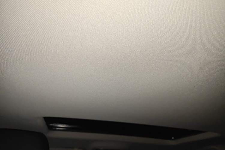 Used Haval F7x 2019 1.5T Two-Wheel Drive Intelligent Technology Edition Headliner