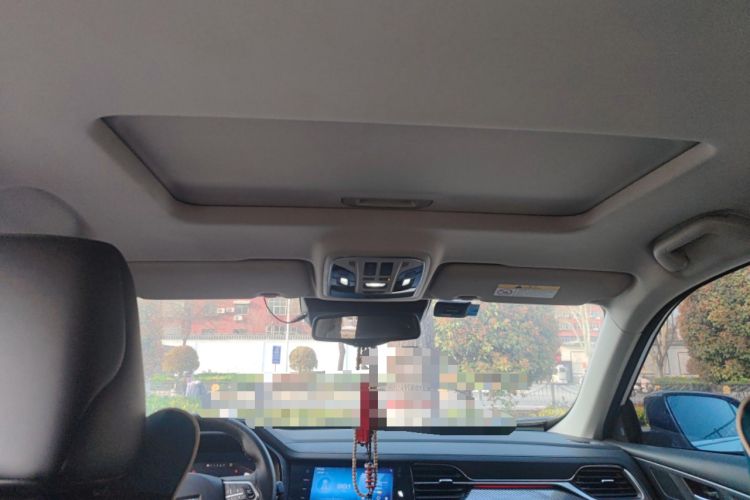 Used Haval F7x 2019 2.0T Two-Wheel Drive Intelligent Technology Edition Headliner