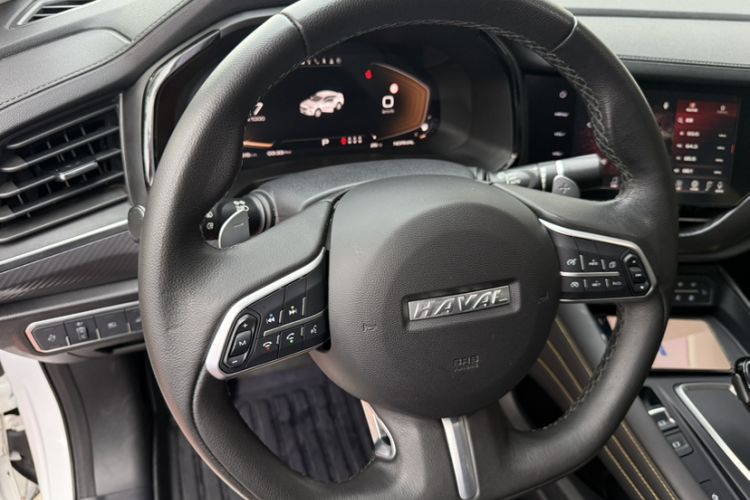 Used Haval F7x 2019 2.0T Two-Wheel Drive Intelligent Technology Edition Interior 6