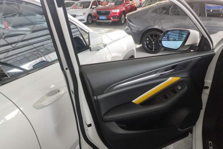 Used Haval F7x 2019 2.0T Two-Wheel Drive Smart & Stylish Play Edition Left Front Door Interior