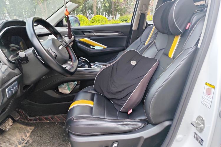 Used Haval F7x 2019 2.0T Two-Wheel Drive Intelligent Technology Edition Left Front Seat