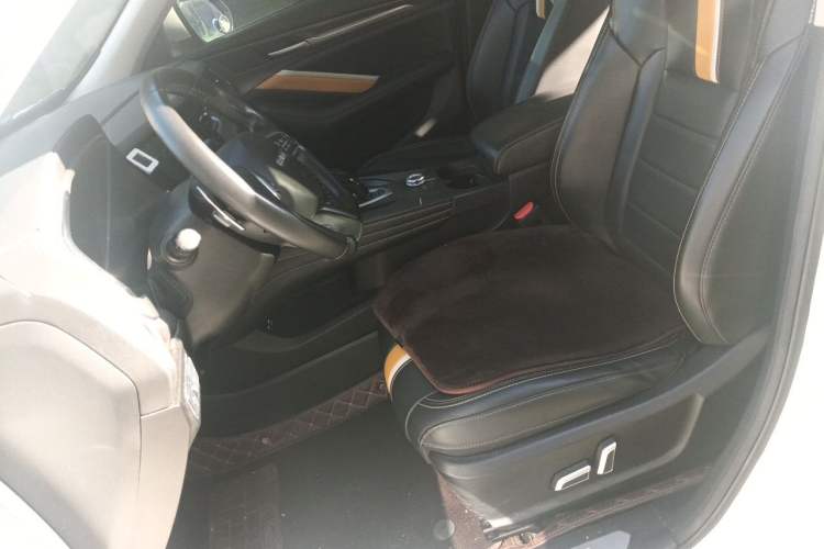 Used Haval F7x 2019 1.5T Two-Wheel Drive Intelligent Technology Edition Left Front Seat