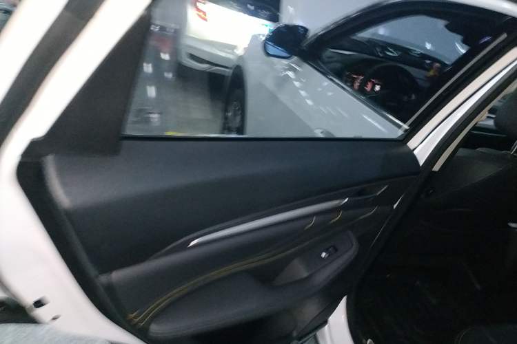 Used Haval F7x 2019 2.0T Two-Wheel Drive Intelligent Technology Edition Left Rear Door Interior