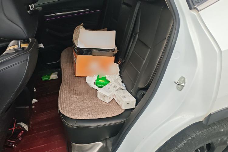 Used Haval F7x 2019 1.5T Two-Wheel Drive Smart & Trendy Edition Left Rear Seat