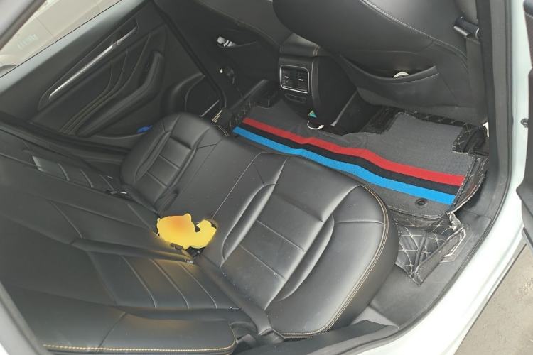 Used Haval F7x 2019 2.0T Two-Wheel Drive Intelligent Technology Edition Left Rear Seat