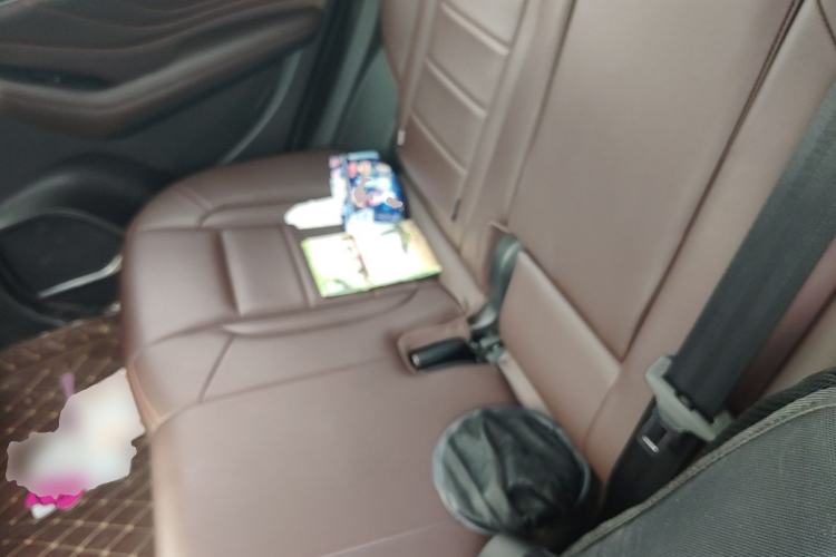 Used Haval F7x 2019 1.5T Two-Wheel Drive Smart & Trendy Edition Left Rear Seat