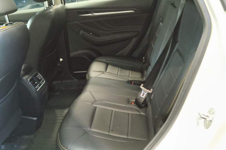 Used Haval F7x 2019 2.0T Two-Wheel Drive Intelligent Technology Edition Left Rear Seat