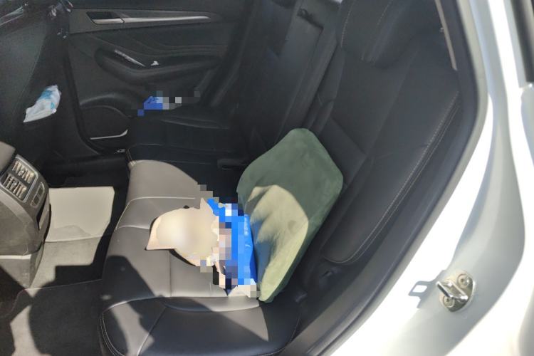 Used Haval F7x 2019 1.5T Two-Wheel Drive Smart & Trendy Edition Left Rear Seat