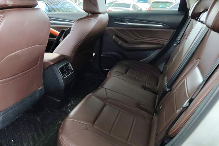 Used Haval F7x 2019 2.0T Two-Wheel Drive Intelligent Technology Edition Left Rear Seat