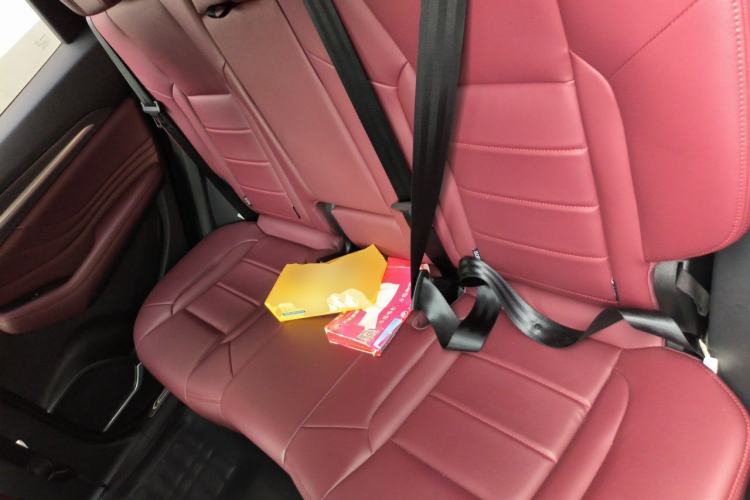 Used Haval F7x 2019 1.5T Two-Wheel Drive Intelligent Technology Edition Left Rear Seat