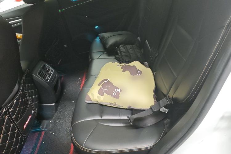 Used Haval F7x 2019 1.5T Two-Wheel Drive Smart & Trendy Edition Left Rear Seat