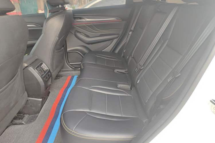 Used Haval F7x 2019 2.0T Two-Wheel Drive Intelligent Technology Edition Left Rear Seat