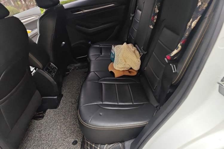 Used Haval F7x 2019 2.0T Two-Wheel Drive Intelligent Technology Edition Left Rear Seat