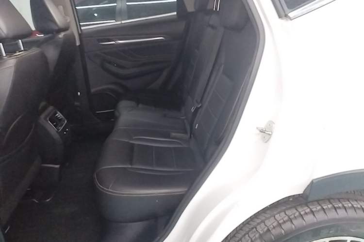 Used Haval F7x 2019 2.0T Four-Wheel Drive Intelligent Sport Edition Left Rear Seat