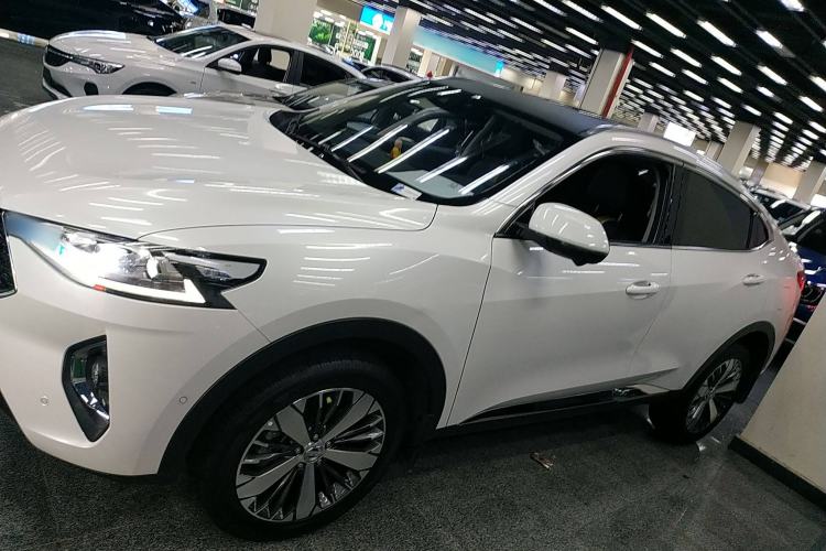 Used Haval F7x 2019 2.0T Two-Wheel Drive Intelligent Technology Edition Left Side
