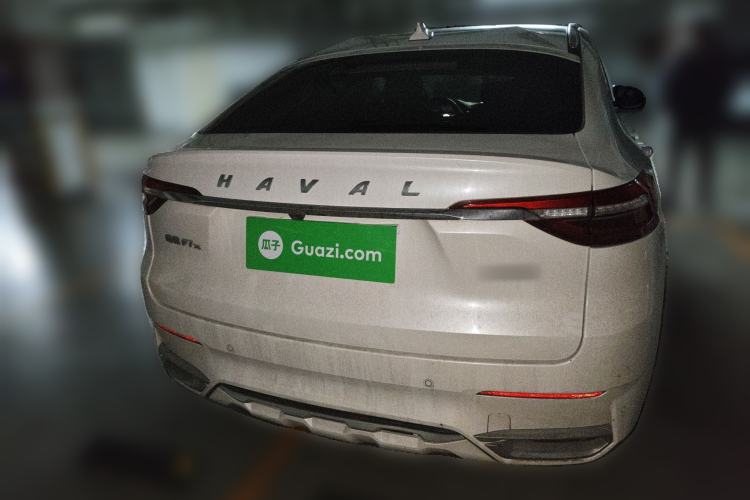 Used Haval F7x 2019 1.5T Two-Wheel Drive Intelligent Technology Edition Rear