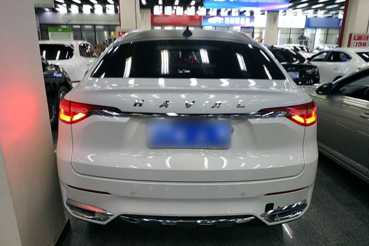 Used Haval F7x 2019 2.0T Two-Wheel Drive Intelligent Technology Edition Rear