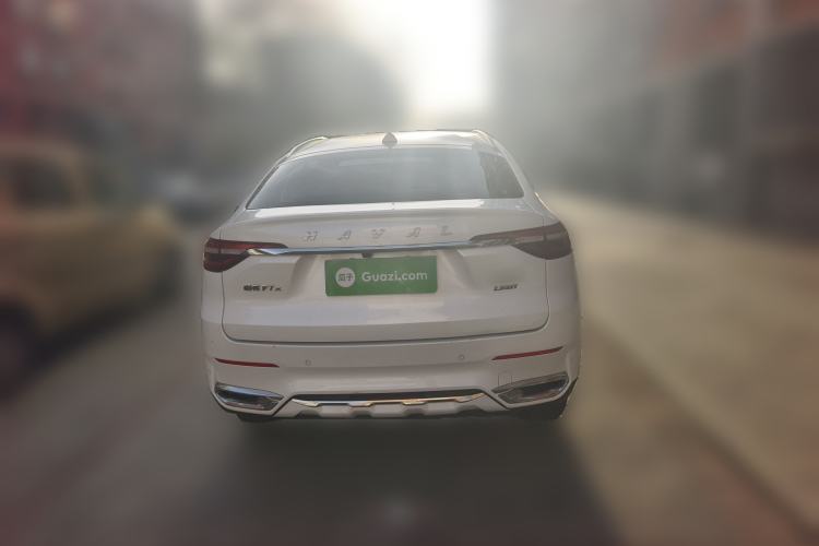 Used Haval F7x 2019 1.5T Two-Wheel Drive Intelligent Technology Edition Rear