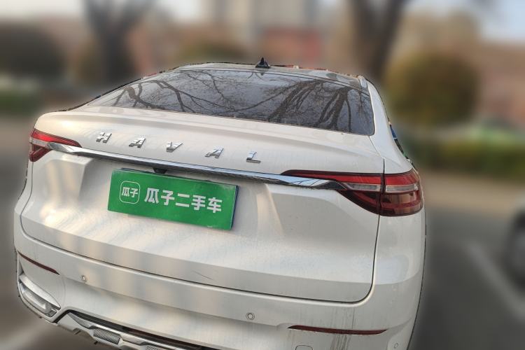 Used Haval F7x 2019 2.0T Two-Wheel Drive Intelligent Technology Edition Rear
