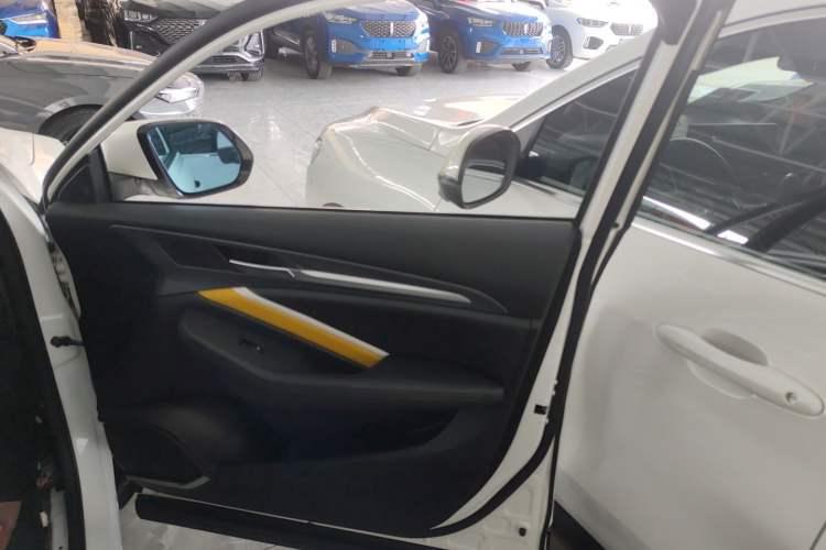 Used Haval F7x 2019 2.0T Two-Wheel Drive Smart & Stylish Play Edition Right Front Door Interior