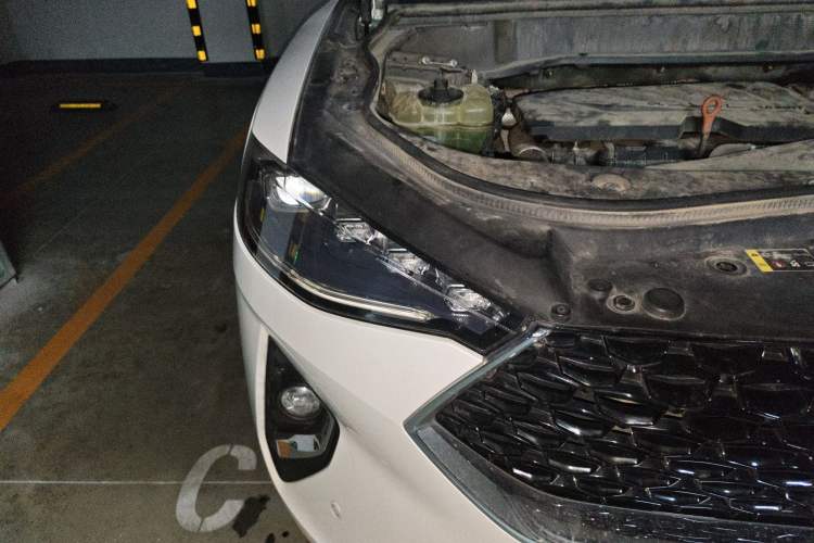Used Haval F7x 2019 1.5T Two-Wheel Drive Intelligent Technology Edition Right Front Headlight