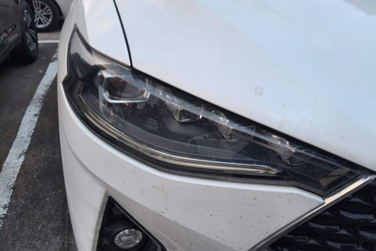 Used Haval F7x 2019 1.5T Two-Wheel Drive Smart & Trendy Edition Right Front Headlight