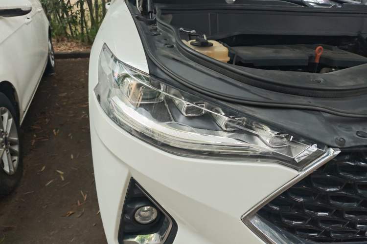 Used Haval F7x 2019 1.5T Two-Wheel Drive Smart & Trendy Edition Right Front Headlight