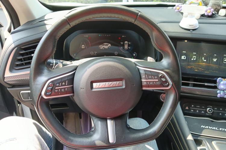 Used Haval F7x 2019 2.0T Two-Wheel Drive Intelligent Technology Edition Steering Wheel